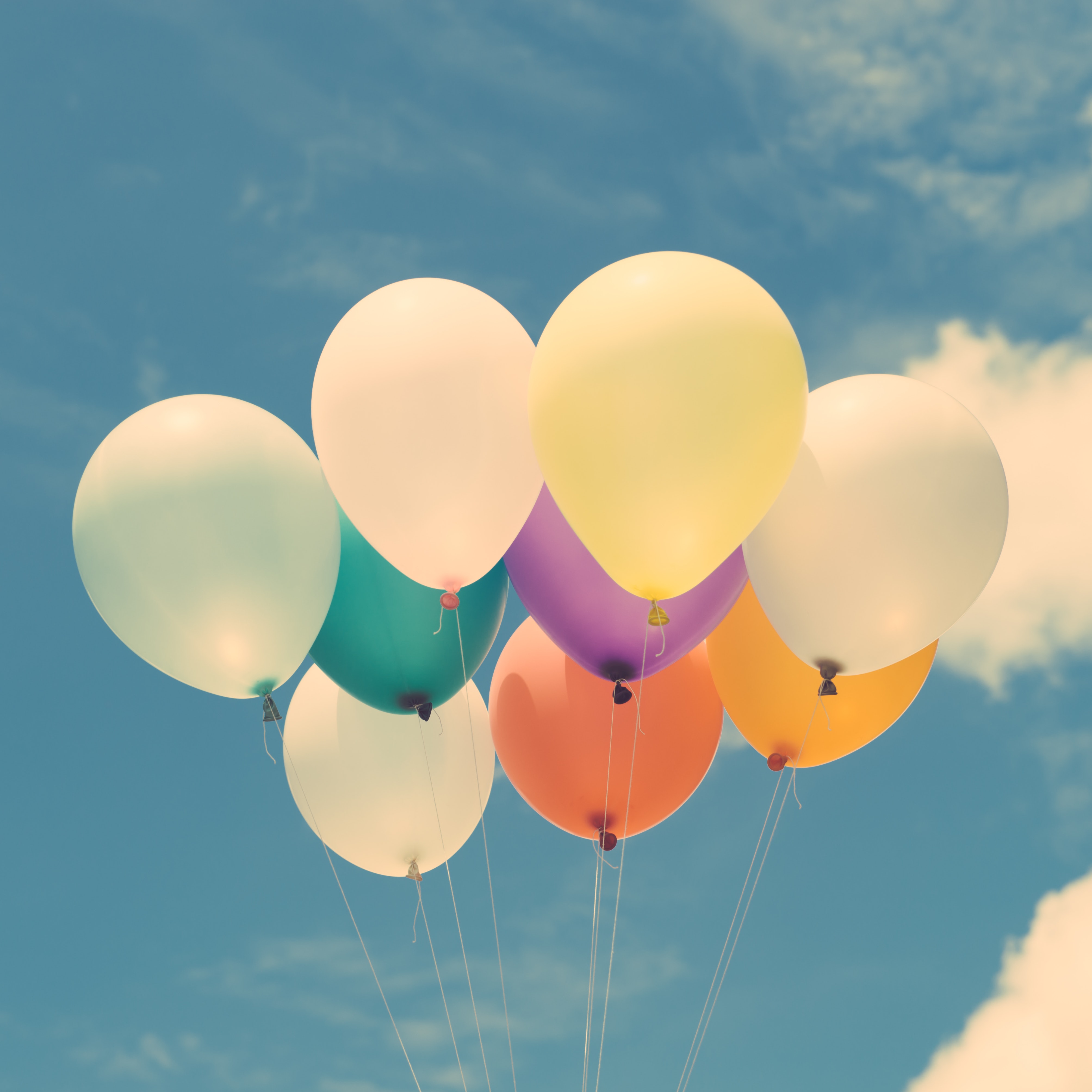 Ballonger med blå himmel